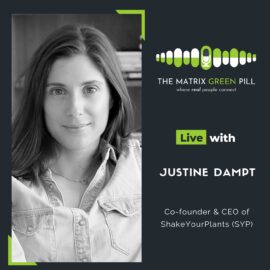 Justine Dampt MatrixGreenPill MP3 Cover